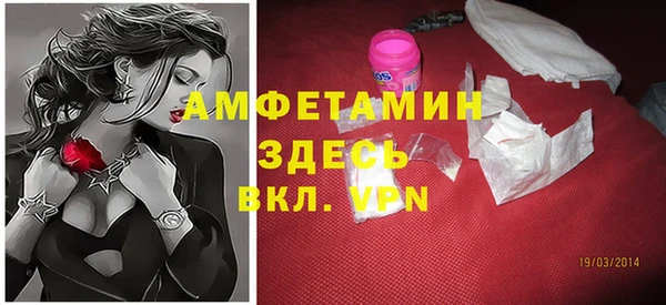 хмурый Алзамай