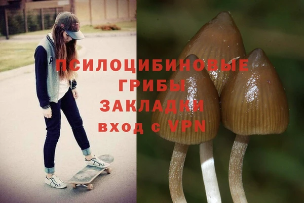 хмурый Алзамай