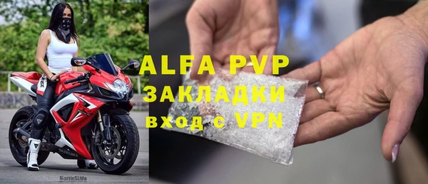 хмурый Алзамай